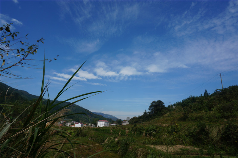dsc06450.jpg