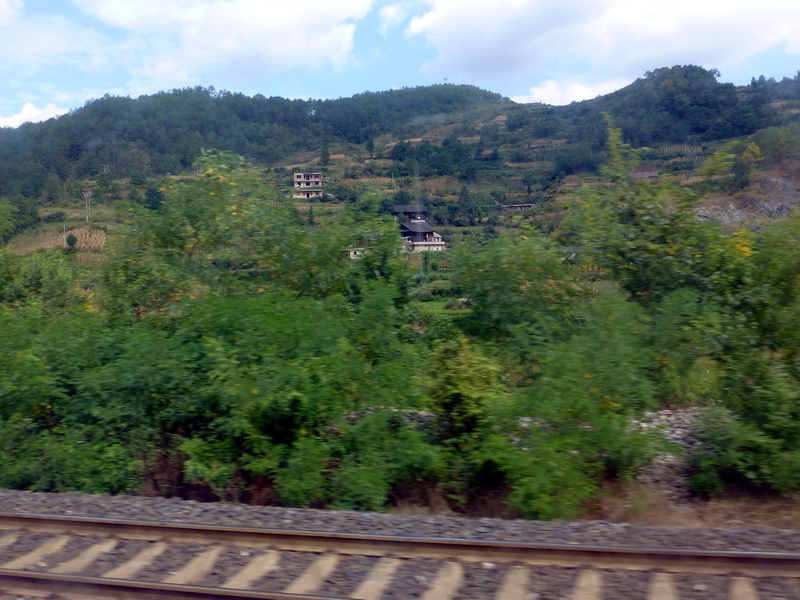 p1110022.jpg