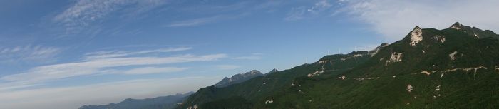 neo_img_800 (30).jpg