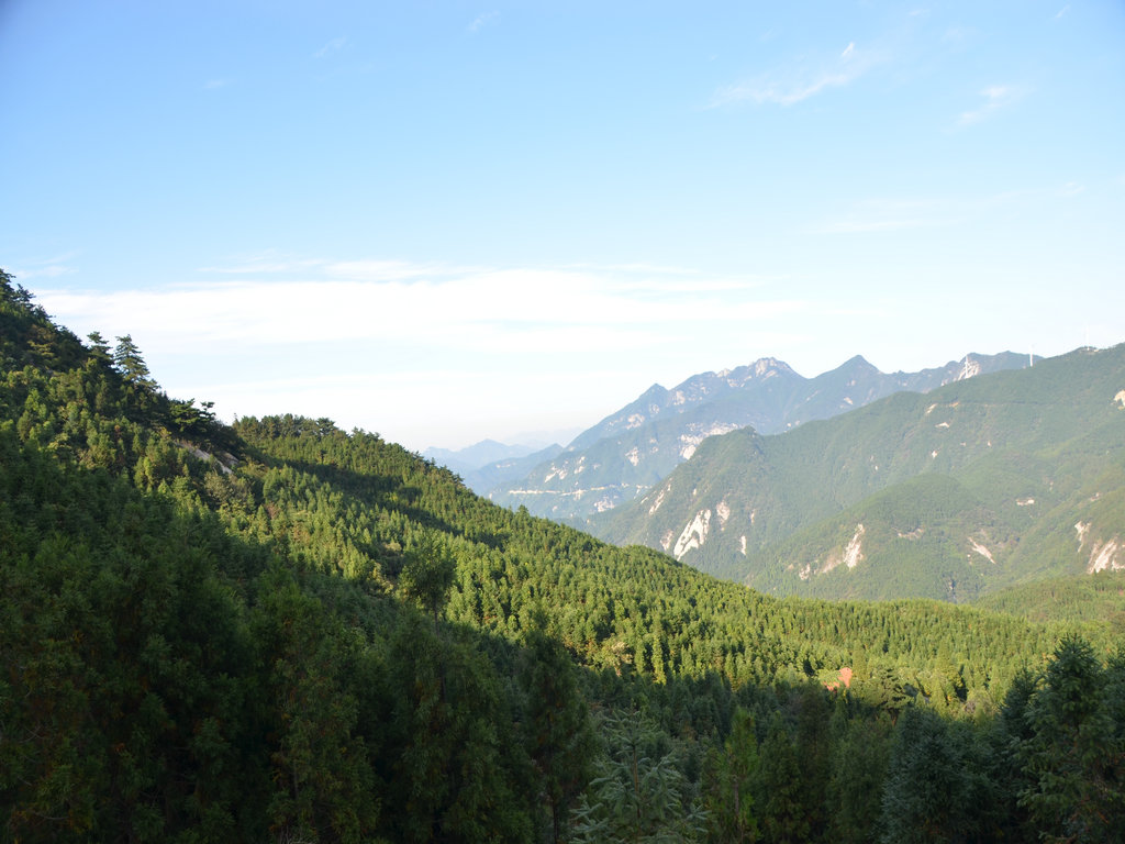 dsc_0039.jpg