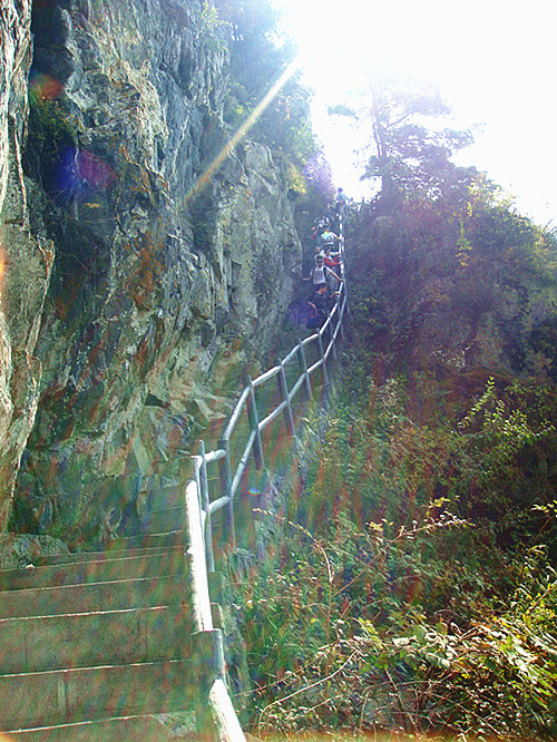 dsc01253_.jpg