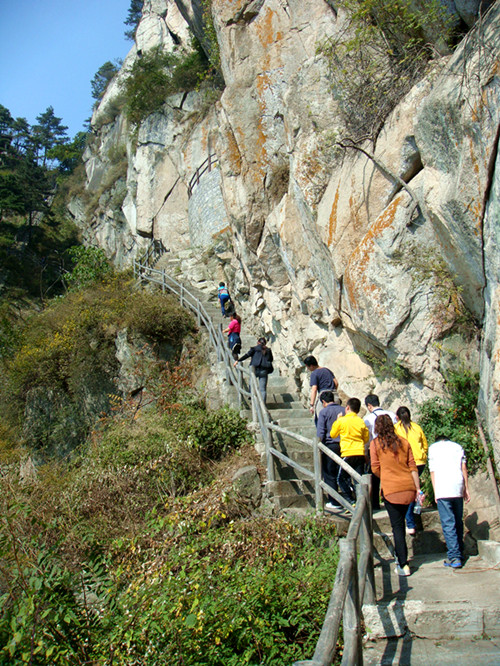 dsc01254_.jpg