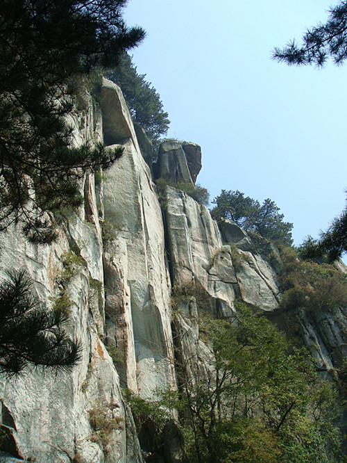 dsc01260_.jpg