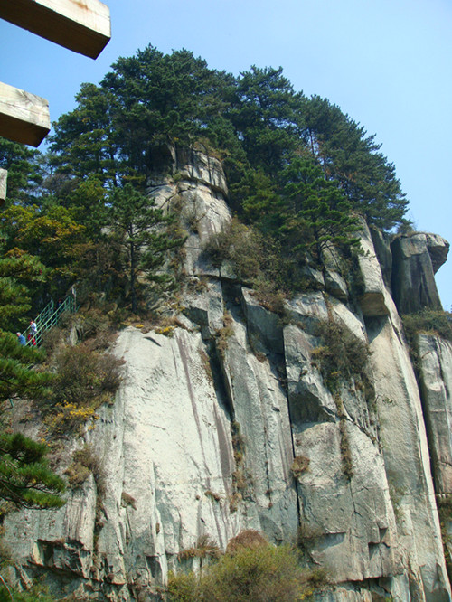 dsc01265_.jpg