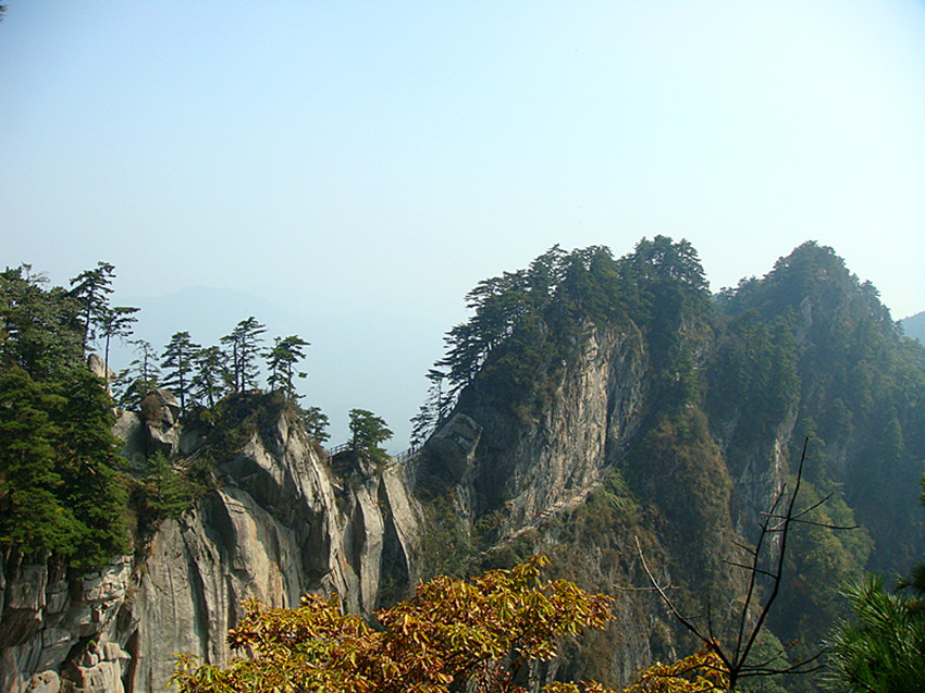 dsc01267_.jpg
