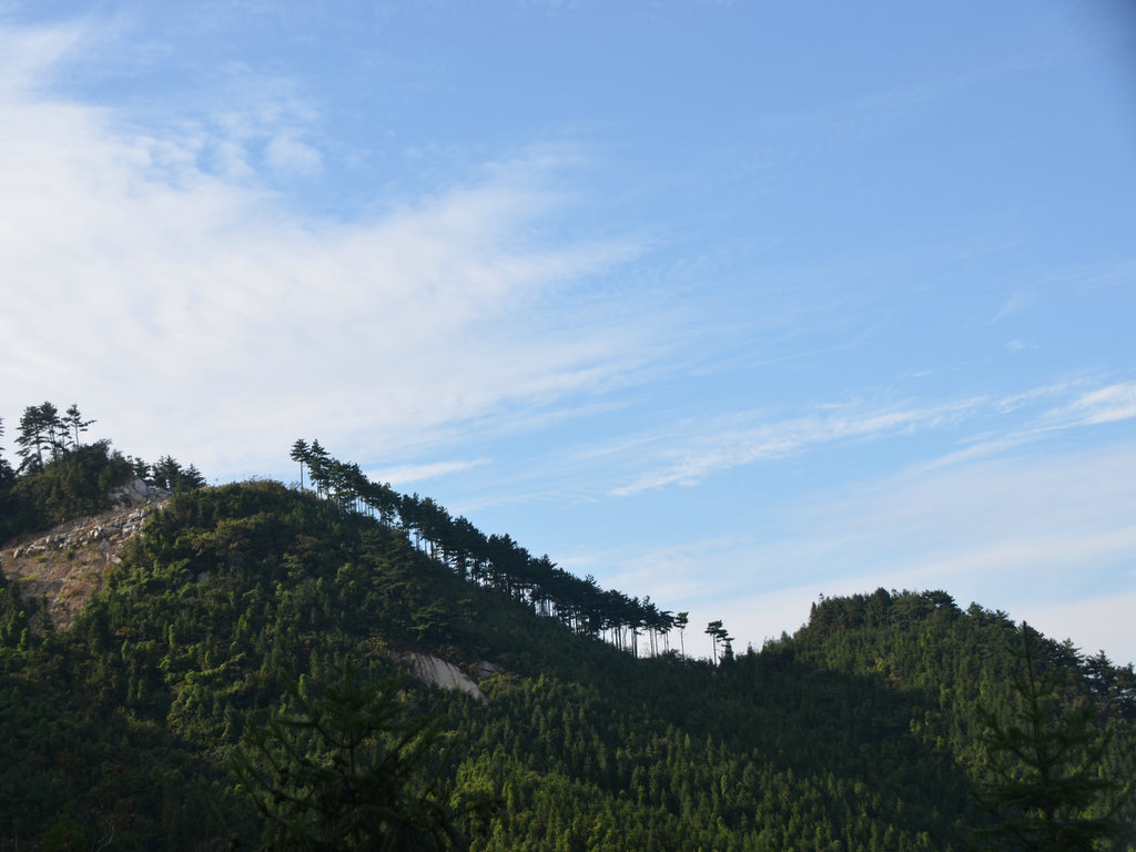 dsc_0036.jpg