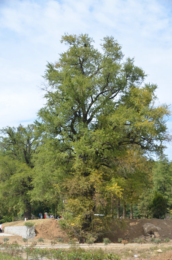 dsc_0756.jpg