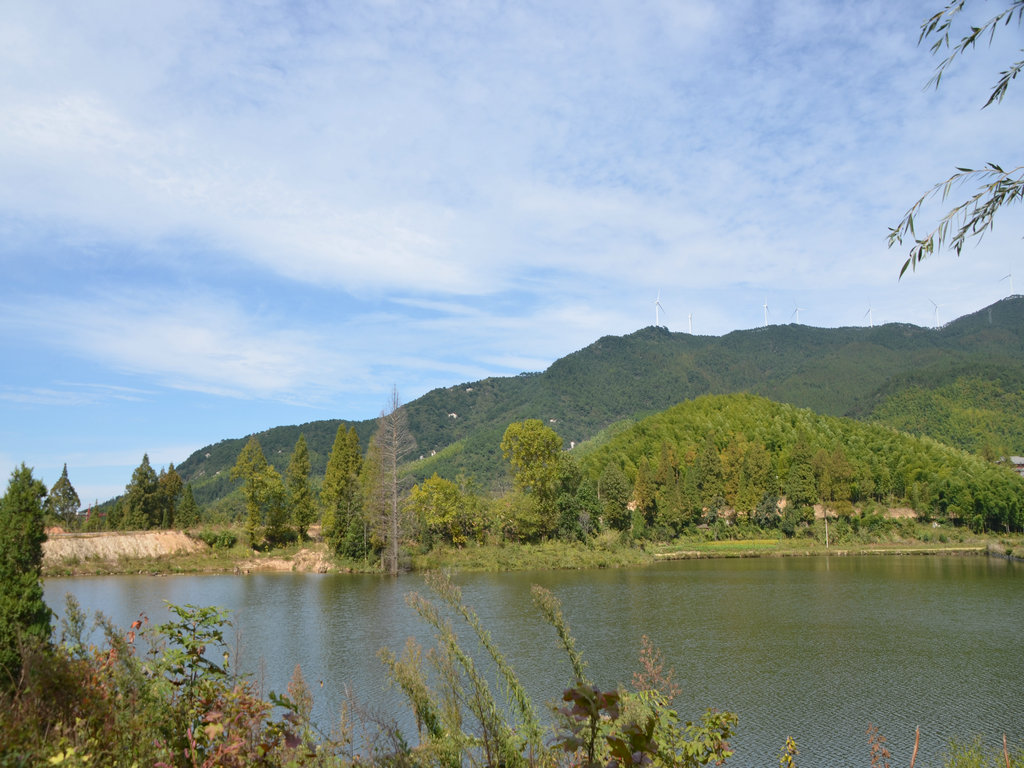 dsc_0865.jpg