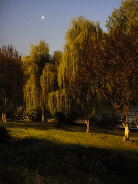 dsc01655.jpg