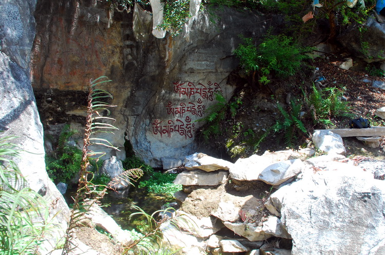 dsc_0079.jpg