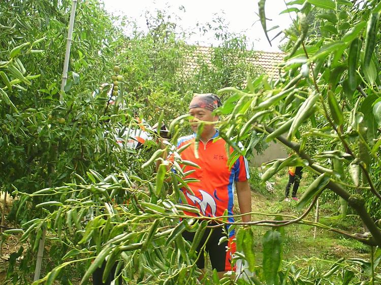 pict0043.jpg