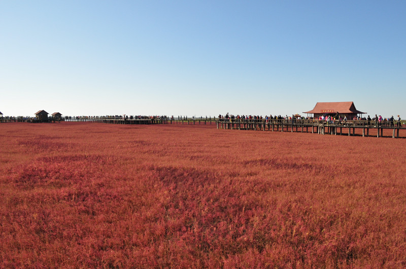 2013.10.1 060_.jpg