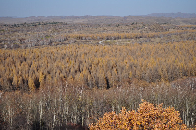 2013.10.1 238_.jpg
