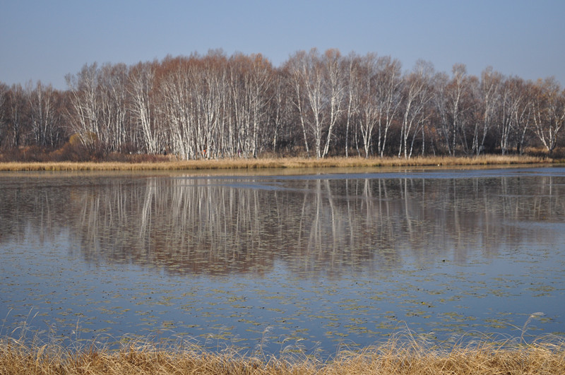 2013.10.1 313_.jpg