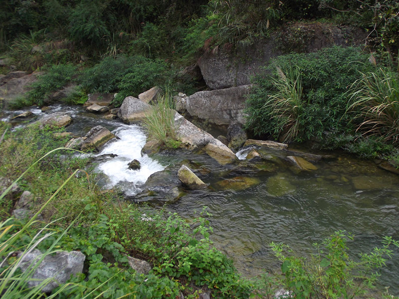 dscf4408_.jpg