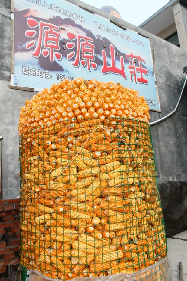 qqͼƬ20131009094126.jpg