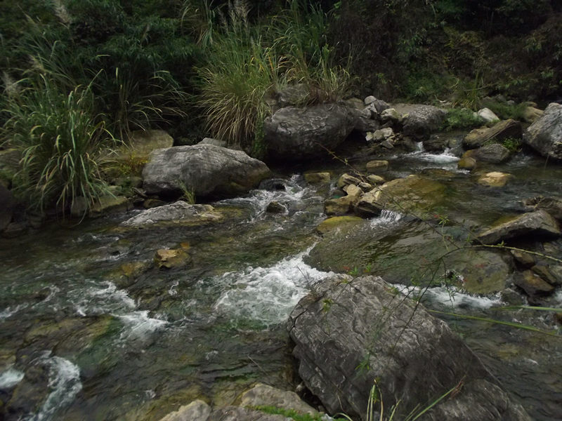 dscf4409_.jpg