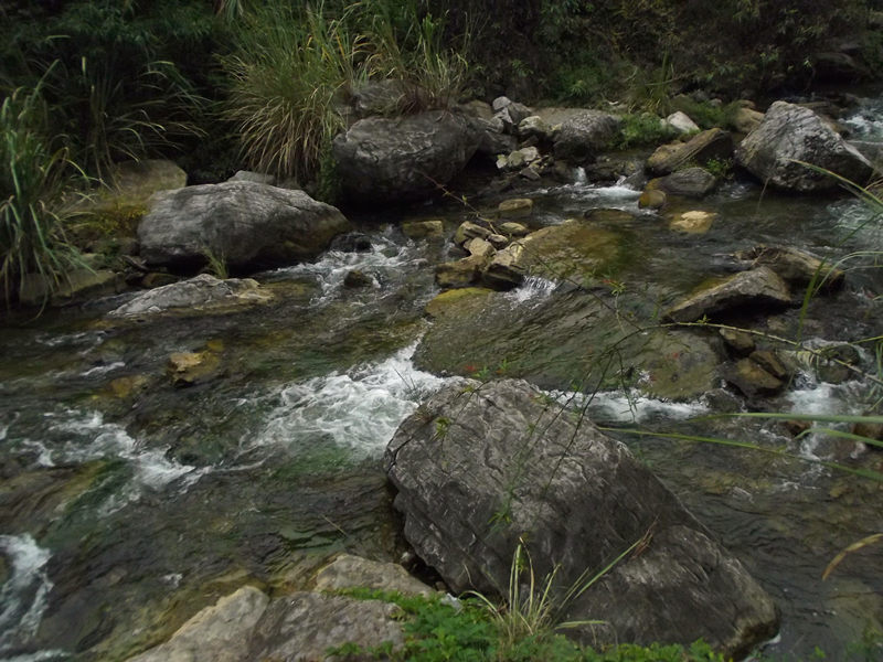 dscf4410_.jpg