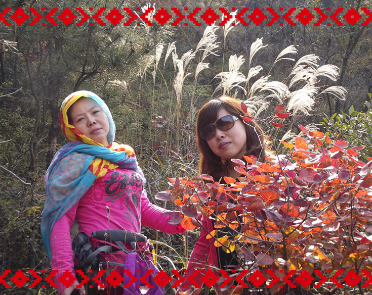 dscf5451_.jpg