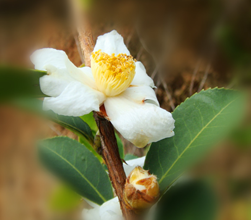 dsc02086_.jpg