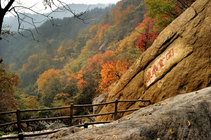 _dsc3559.jpg
