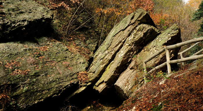 _dsc3562.jpg