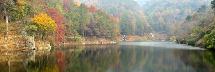 _dsc3565.jpg