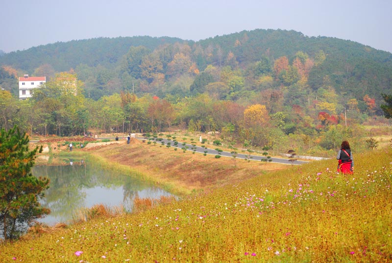 dsc_9386.jpg