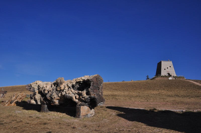 dsc_0850.jpg