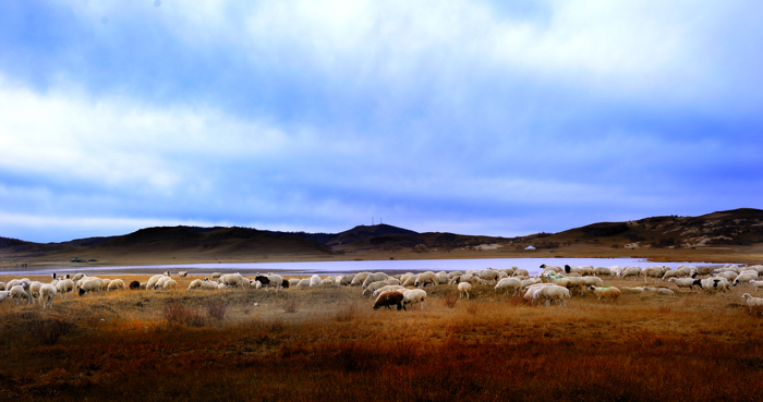 _dsc2924.jpg