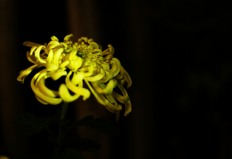img_5760_.jpg