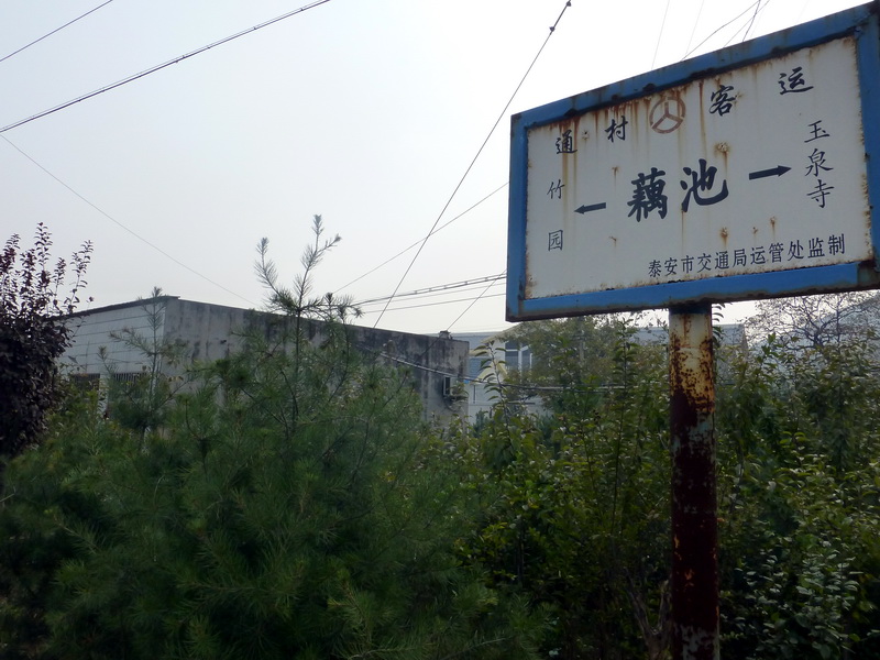 p1130655.jpg