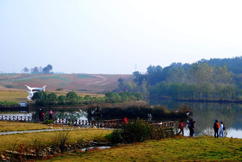 dsc_9329.jpg