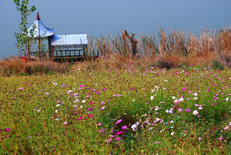 dsc_9396.jpg