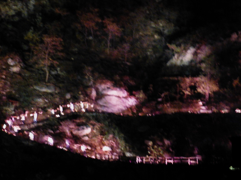 p1130715.jpg