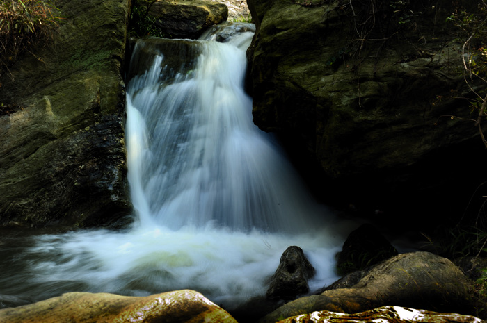 _dsc3255.jpg