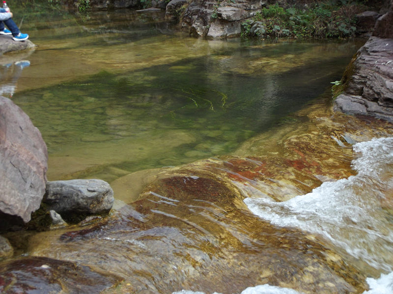 dscf5010_.jpg