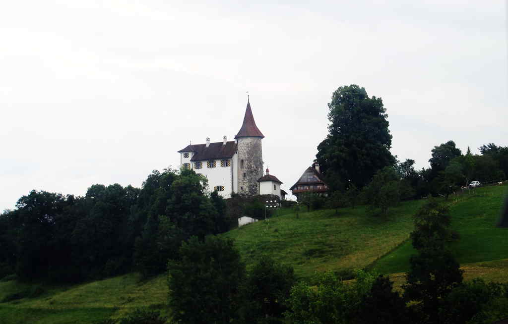 img_9832_.jpg