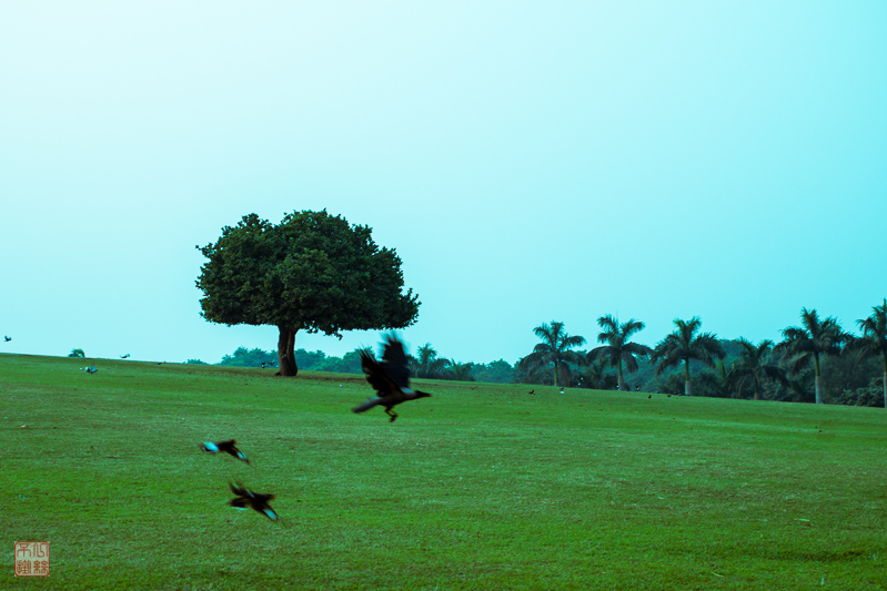 ӡ-1001813.jpg
