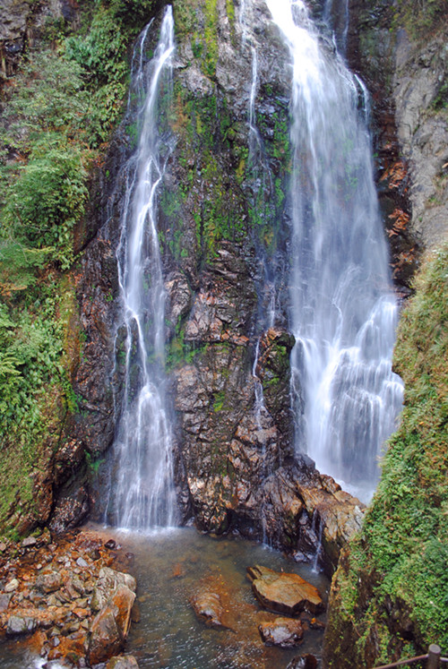 dsc_0222__.jpg