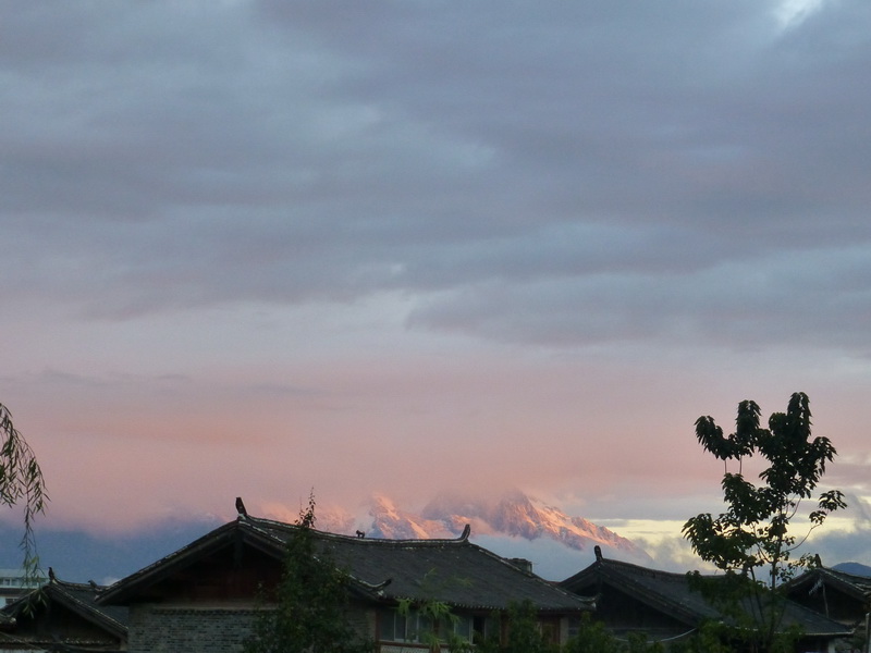 p1130854.jpg