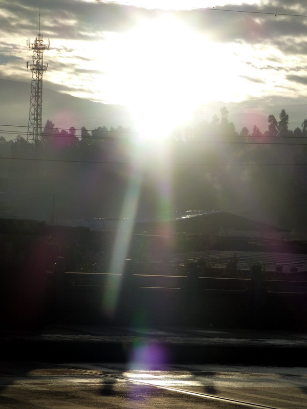 p1130875.jpg