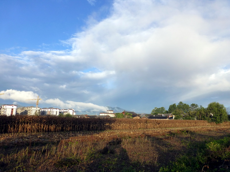 p1130879.jpg