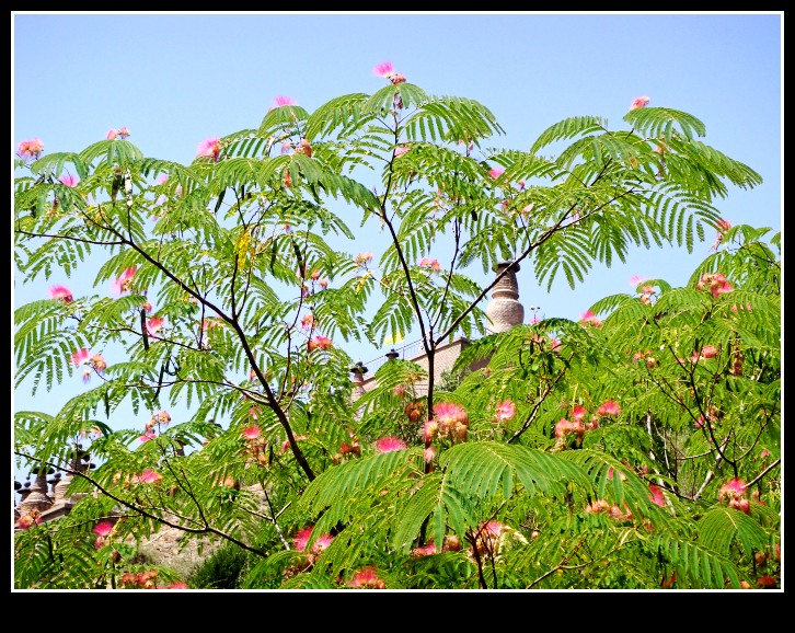 dsc04028_conew1.jpg