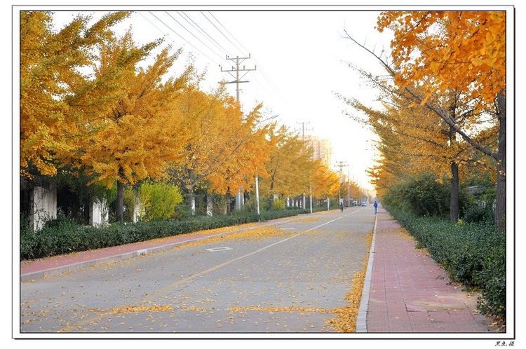 ϴӵ峿 (83)_Ŀѹ.jpg