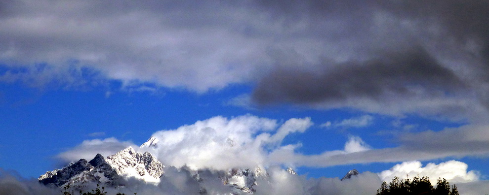 p1130894.jpg