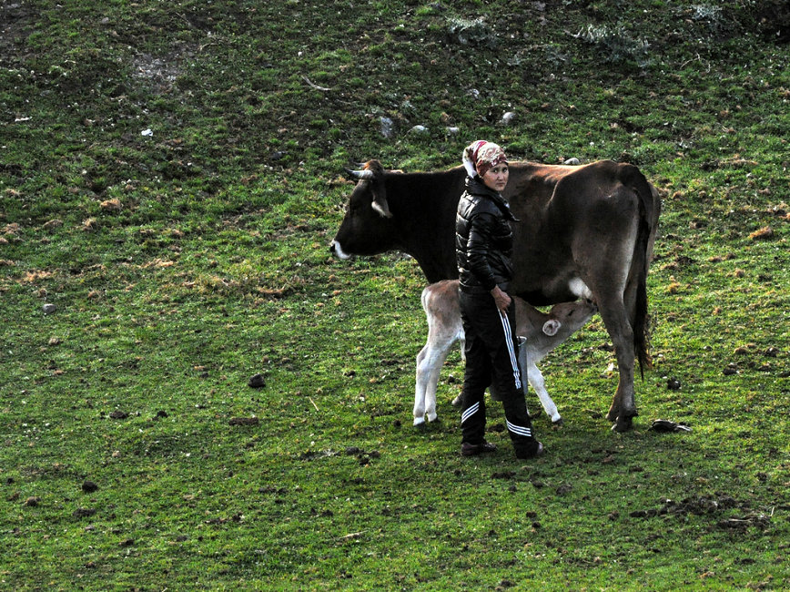 dsc_4396.jpg