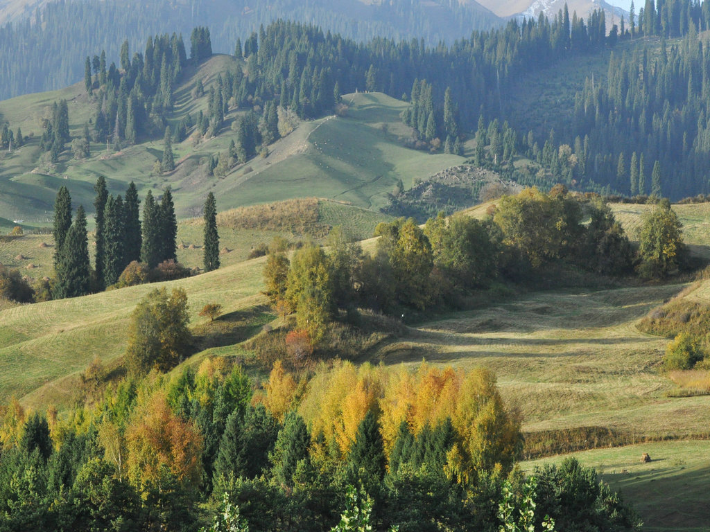 dsc_4405.jpg