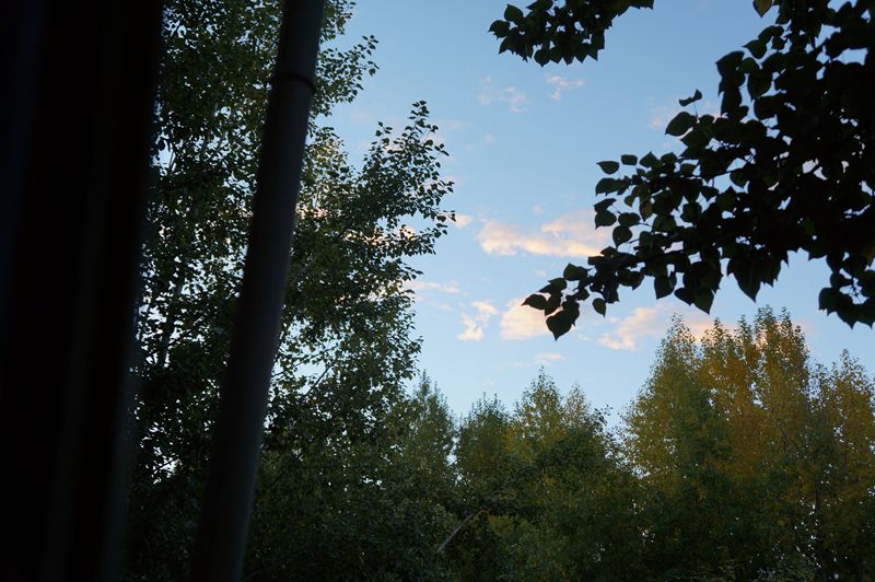 dsc05457.jpg