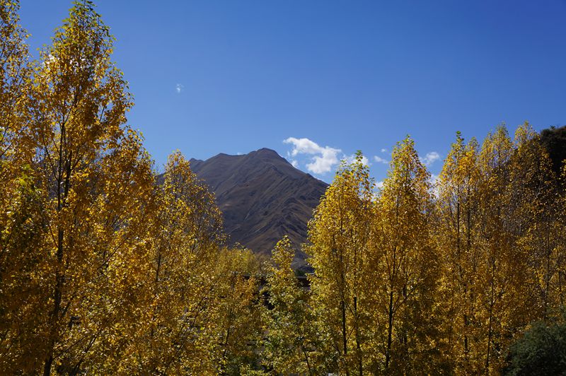 dsc05486.jpg